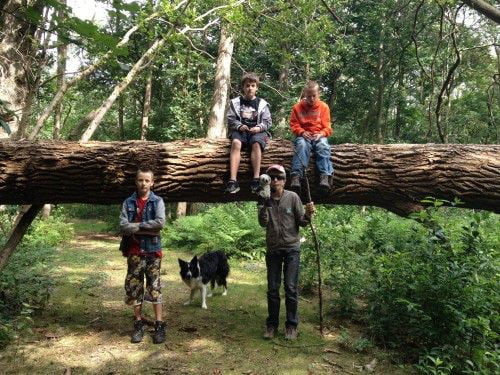 Even uitrusten tijdens de boswandeling bij Maudsplekje Even uitrusten tijdens de boswandeling bij Maudsplekje