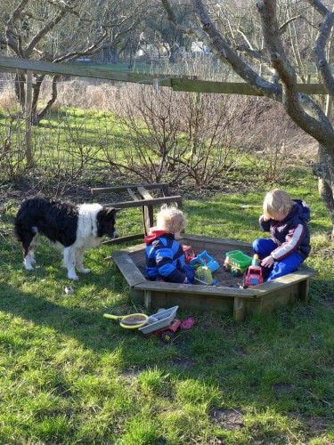 Storm, de speelkameraad van iedere bezoeker van Maudsplekje Storm, de speelkameraad van iedere bezoeker van Maudsplekje